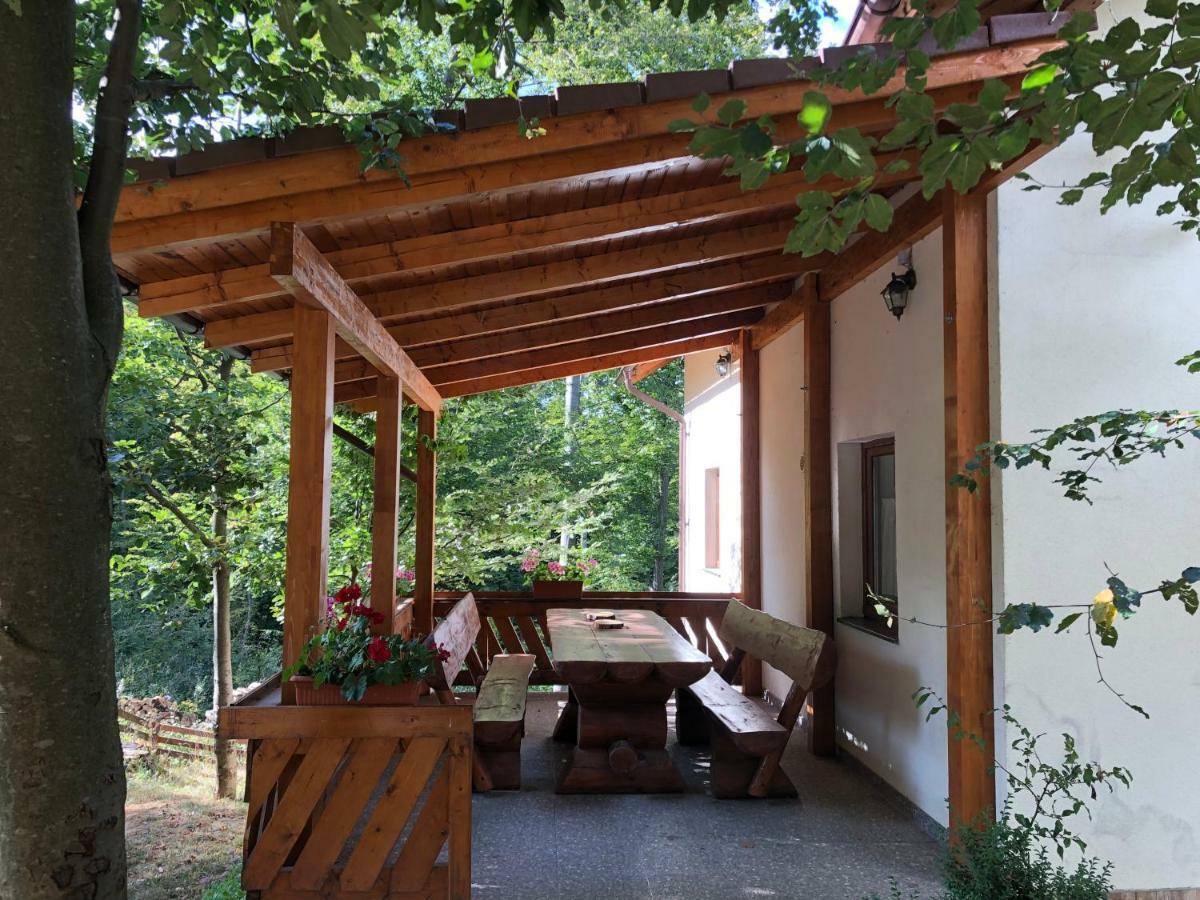 Casa De Vacanta Mogosa Baia-Sprie Exterior photo
